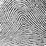 1vYYa-IdUGo-channel-avatar-Nelious