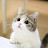 @때리면문다95
