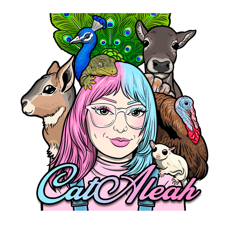 CatAleah icon