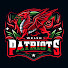 fE7Sd6qc2K8-channel-avatar-Welsh Patriots 