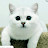 @White_white_cat