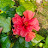 @The-Little-Seed