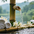xdDenUsM6dU-channel-avatar-Relax Spa Meditation