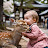 Nara deer 