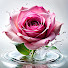 OWJc_dozYhU-channel-avatar-Velvet Rose 90
