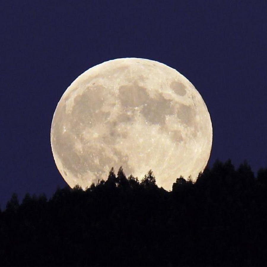 Луна 8 апреля 2024. Луна видео. Dalbek и большая Луна. Луна Shaman. Полная Луна шаман.