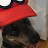 Mario Doggy!