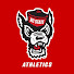 Channel Image