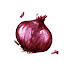238769dQLnc-channel-avatar-the forsaken onion