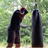 5wN_nfegVdk-channel-avatar-Austinmp88