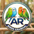 1mJxTYiQu4o-channel-avatar-Ar Bird Sambhal