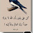 @OmNoor-kn6kr