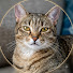 hZ6R_D3oxpM-channel-avatar-Wieczorne Opowieści