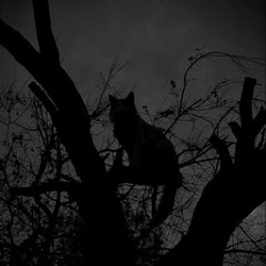 xFrightfull