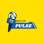 PoliticalPulse logo