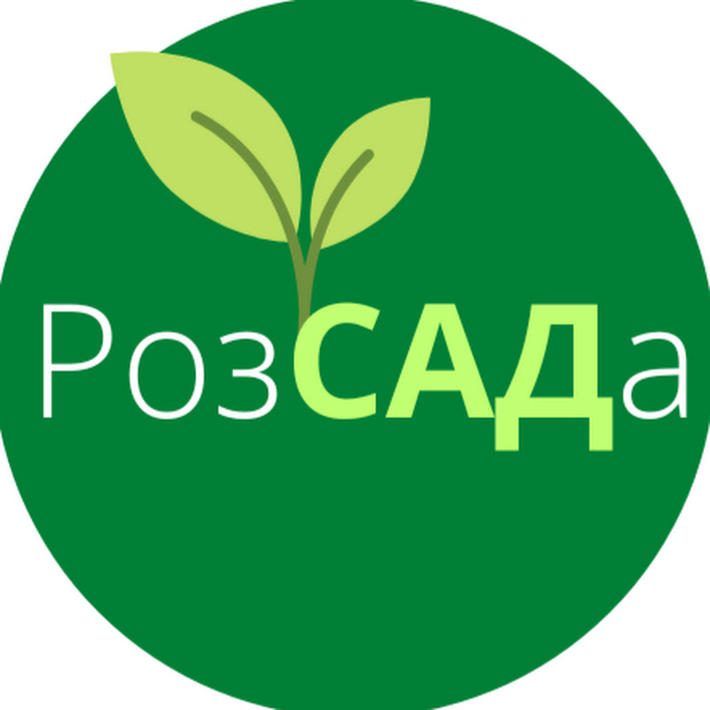 O Розсада
