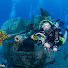 umjZ5A2y4eY-channel-avatar-Thin Blue Dive