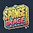 Sponge Image