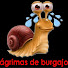 NJduTFFpEcY-channel-avatar-Lágrimas de burgajo