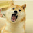 @Doge-zm9ft