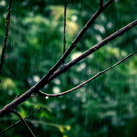 Nature Relaxing Sleep Music profile image
