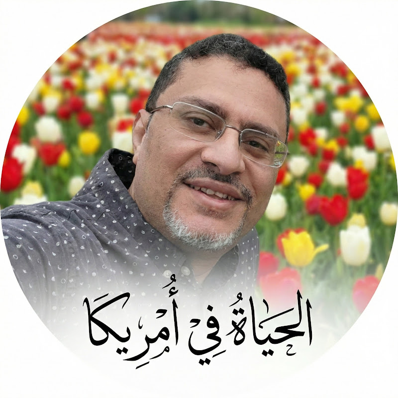 الحياة في أمريكا | محمد شدو