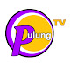 Pulung TV logo