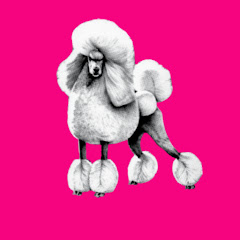 PUDELEK avatar