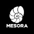 -L2Kxqzi5Hw-channel-avatar-MESORA and Historian Sleepy