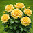 @رياضصبحي-ب6ذ2و