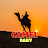 Camel Daily