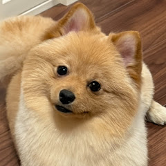 まーくん