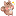 メンバー(1 か月)
