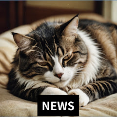 Assemble TV 【NEWS】【ニュース】アッセンブル TV