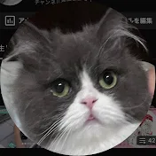 ちゃんねるる