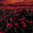 @Noura-f4h