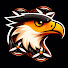 ckIRIz_xmfA-channel-avatar-Voos do Carcará