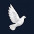 pF--yCsTfcg-channel-avatar-Espíritu Santo TV