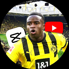 Mouki_09bvb_YT_2