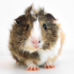 Thumbnail of related channel