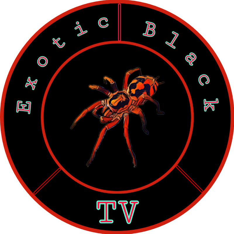 Exotic Black TV