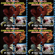 thumbnail img1x1