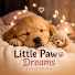 wyjULm_kt1k-channel-avatar-Little Paw Dreams and Music for Sleep