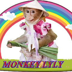 Monkey LyLy - Daily vlog