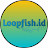 Loopfish
