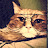 @HunterS.Catson's avatar