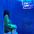 zlKDt3Den9M-channel-avatar-Orangestruck14