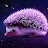 PurpleHedgehog