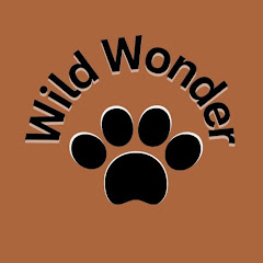 Wild Wonder