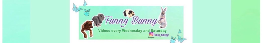 Funny Bunny رمز قناة اليوتيوب